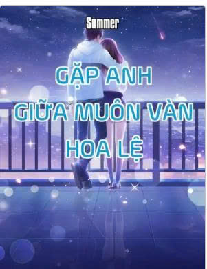 Gặp anh giữa muôn vàn hoa lệ