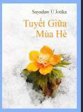 Tuyết giữa mùa hè