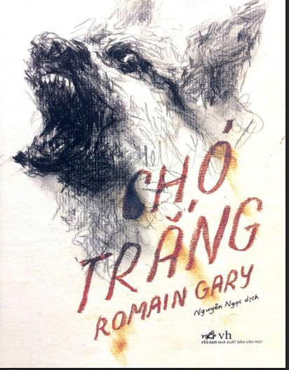 Chó trắng