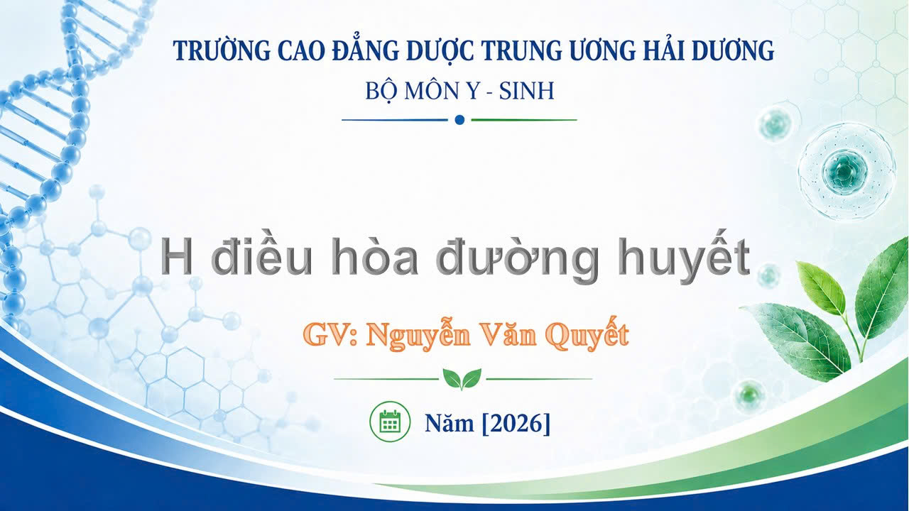 H điều hòa đường huyết