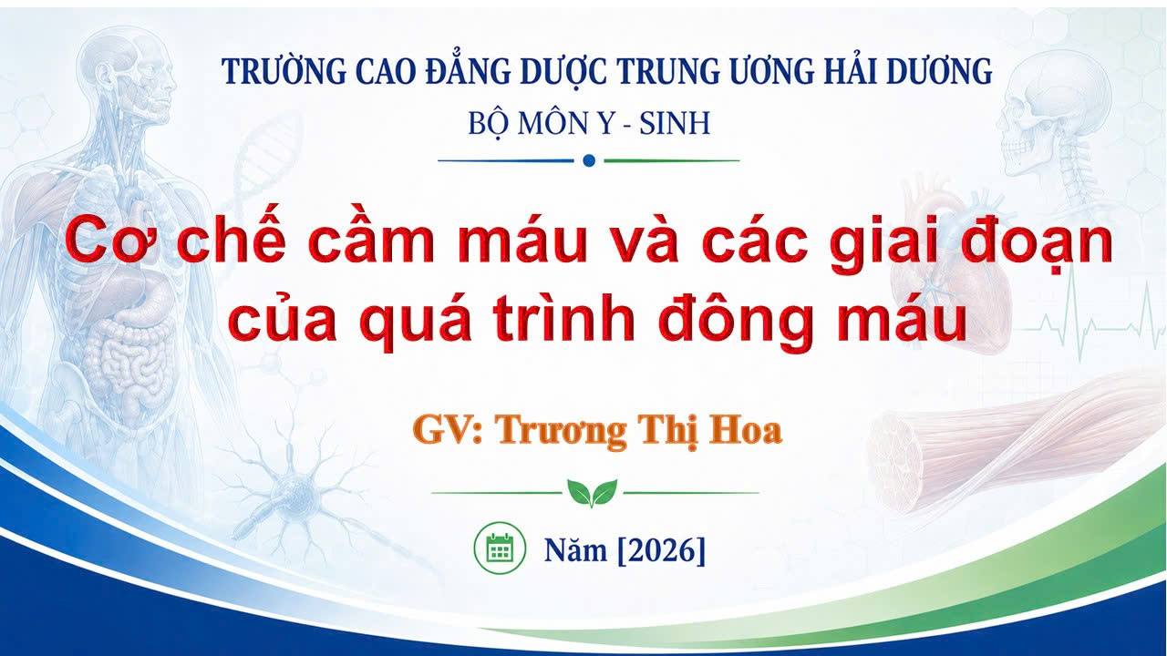Cơ chế cầm máu và các gaii đoạn của quá trình đông máu