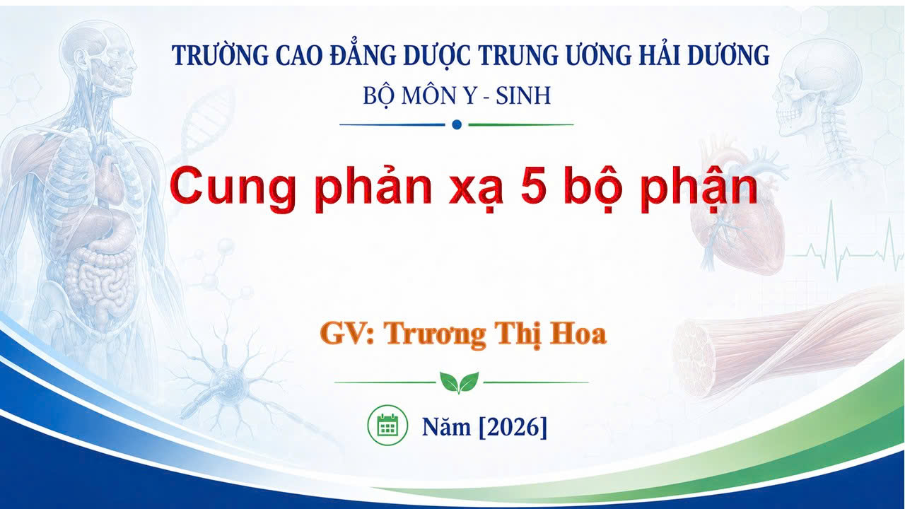 Cung phản xạ 5 bộ phận