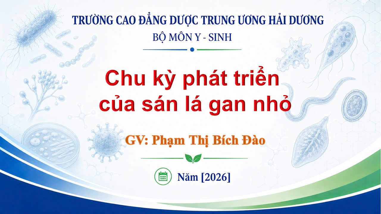 Chu kỳ phát triển của sán lá gan nhỏ